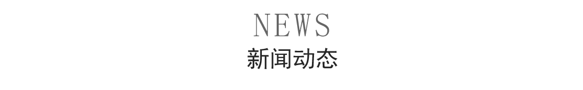 新闻动态